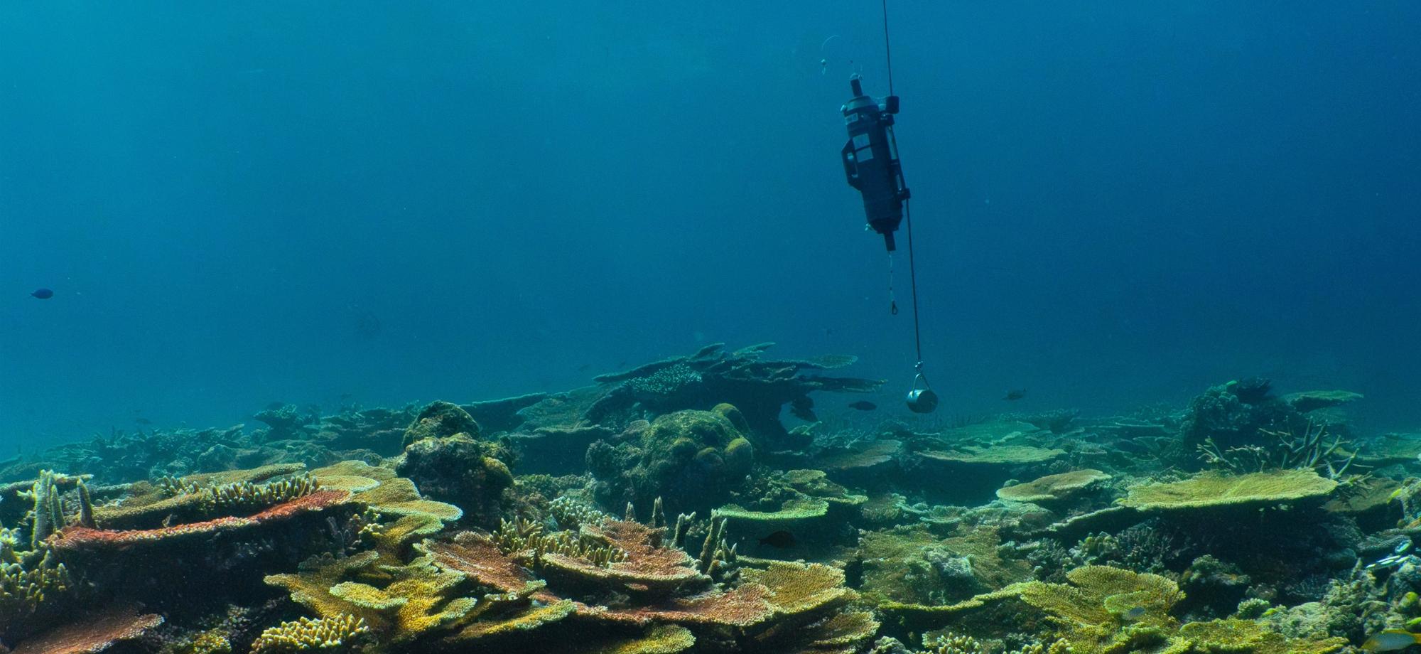 Niskin bottle over coral reef