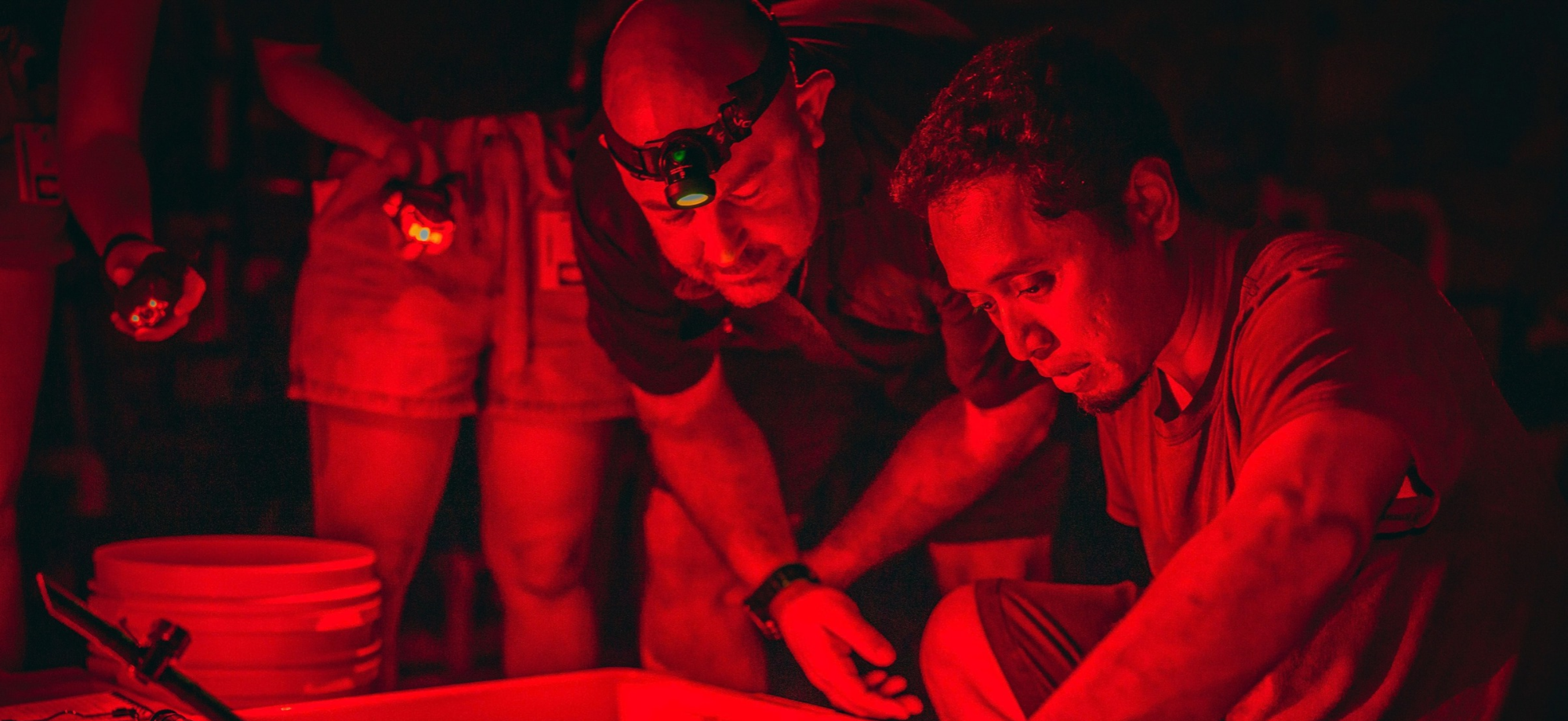 Marine scientists using red lights in aquaculture facility during coral spawning
