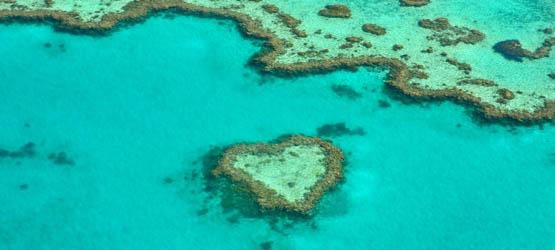 Saving the Great Barrier Reef through new science partnerships