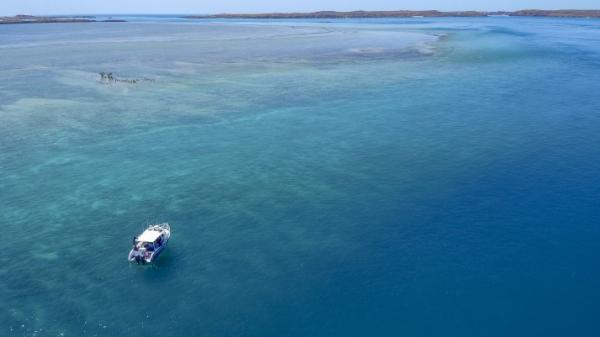 aerial photo of vessel near a reef