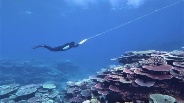 Marine scientist on manta board over reef