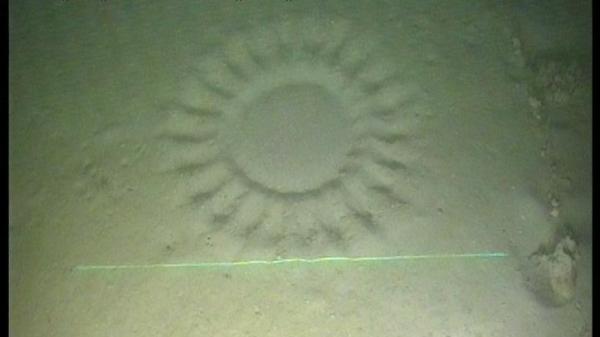 circular pattern on the seafloor