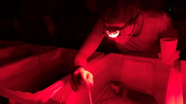 spawning in seasim under red light