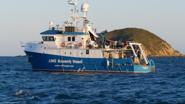 white and blue vessel in ocean in front of green island