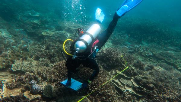 AIMS team monitoring southern reefs