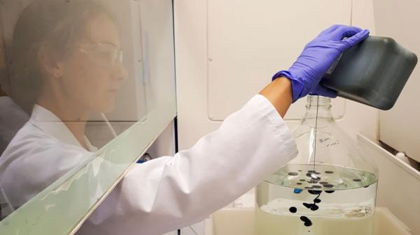 oil pollution research