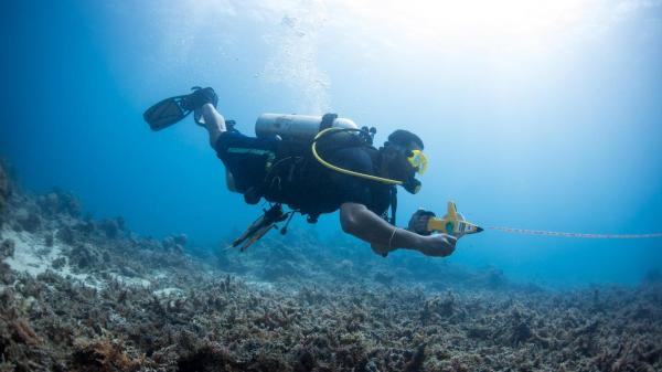 Diver monitoring reef