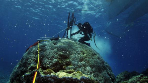 diver on large coral bommie