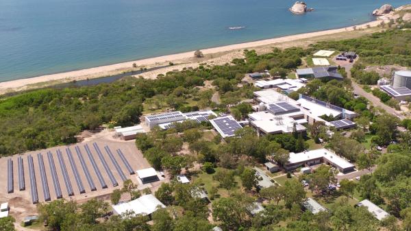 buildings set among greenery, adjacent to a beach, seen from the air