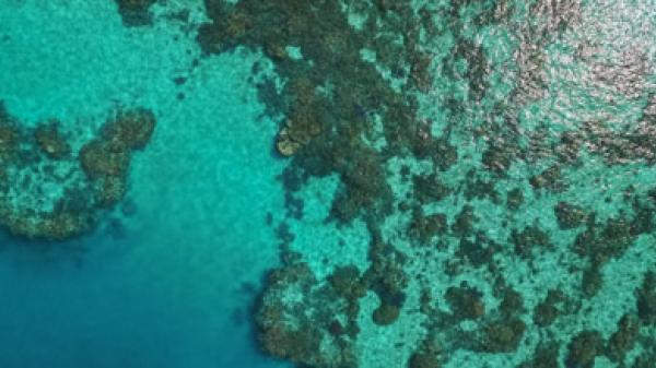 aerial photo of reef