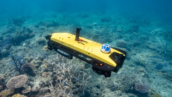 yellow and black untethered robot glides over hard coral underwater