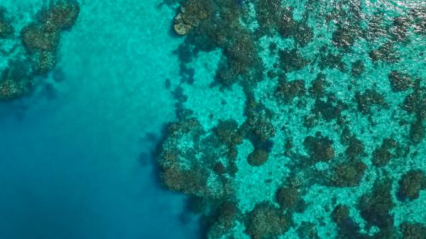 aerial photo of reef