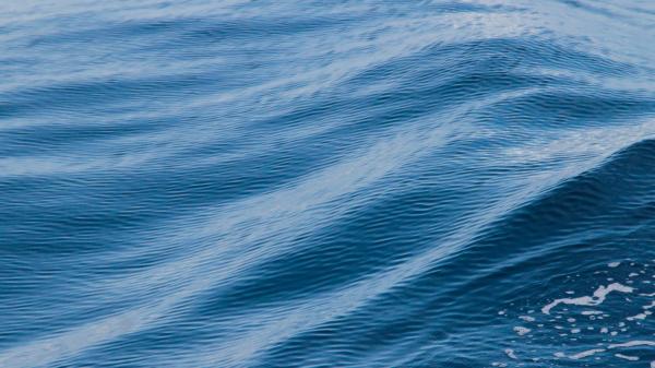 surface of water