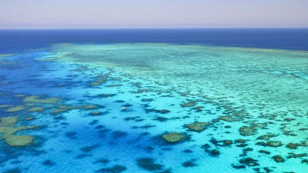aerial view of coral reef