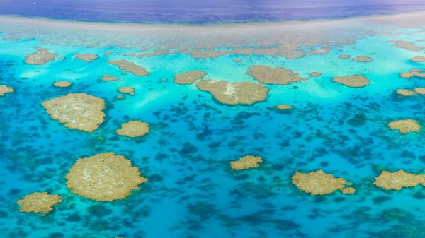 Aerial photo above a coral reef with bright blues and turquoise
