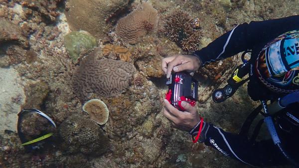 looking down on a diver wearing a bandanna taking a photo of a coral reef