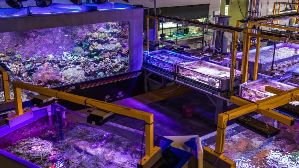 a number of different aquaria with different lighting in a large room with high ceiling