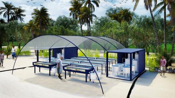 concept image showing a small aquaria system set up on a beach