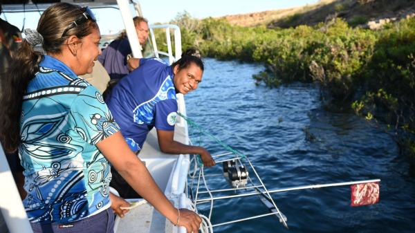 Two Indigenous Rangers lean over the side of a small boat in mangroves whilst deploying a baited remote underwater video station