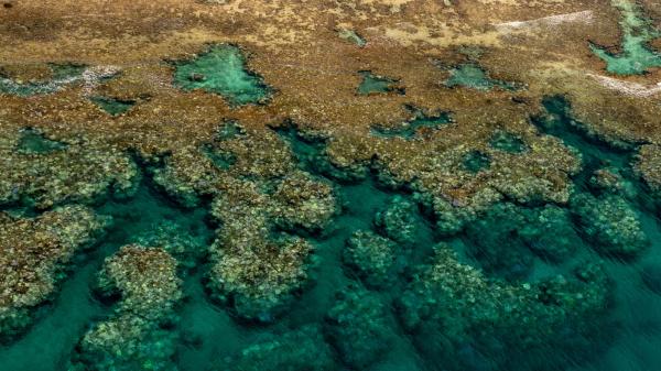 aerial view of a reef showing signs of bleaching