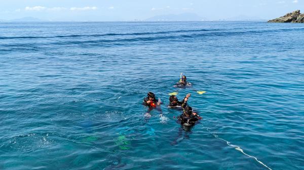 Scuba divers at the surface