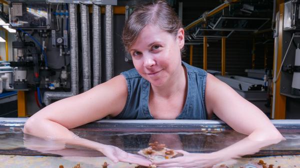 A woman is in an aquaria facility holding a small tray of coral fragments