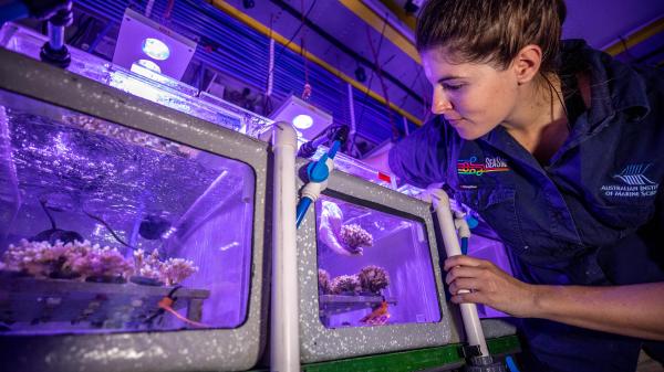 research capabilities