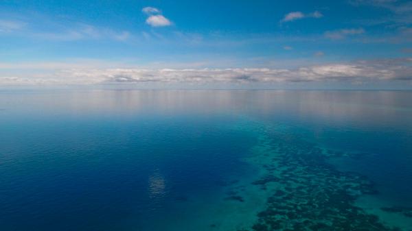a sky with white clouds meets a calm sea