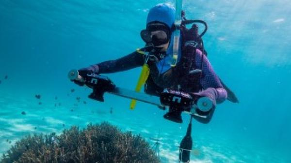 A diver over a small coral head with a camera rig in their hands