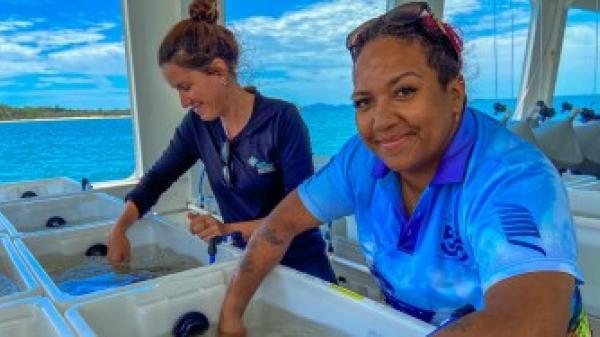 two people standing over large tubs with corals, one is looking at the camera, and there is clear water in the background
