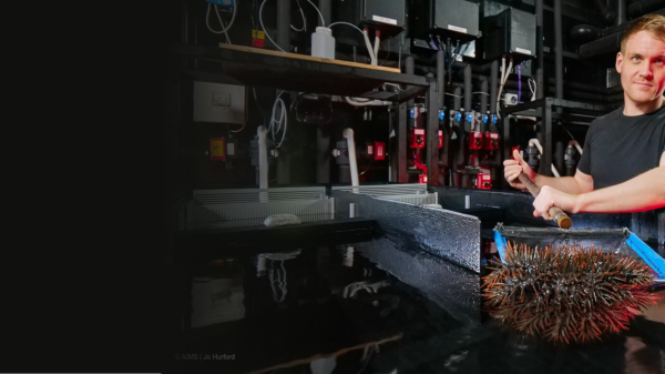 Richard Harris, with crown-of-starfish and flume system in the National Sea Simulator