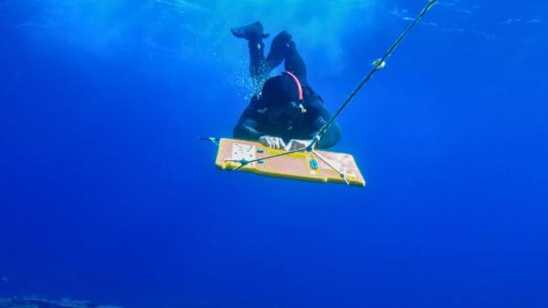a person in a dark wetsuit holds on to a yellow board which is connected to a rope. the person wear a mask and is looking down a coral reef which can be seen in the lower left corner of the image.