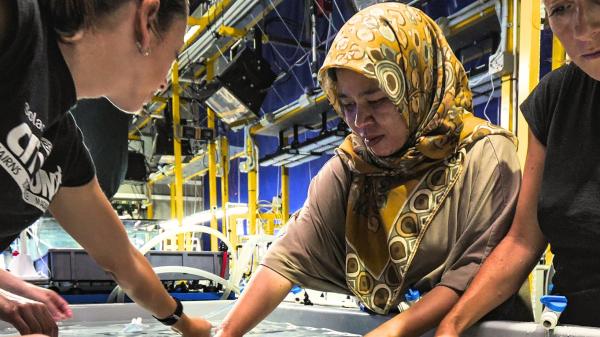 Scientists assembling coral devices