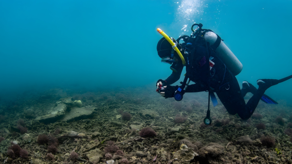 A diver swims over the bottom of the ocean