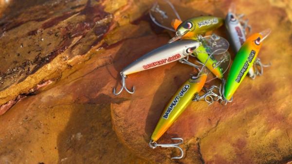 Branded fishing lures