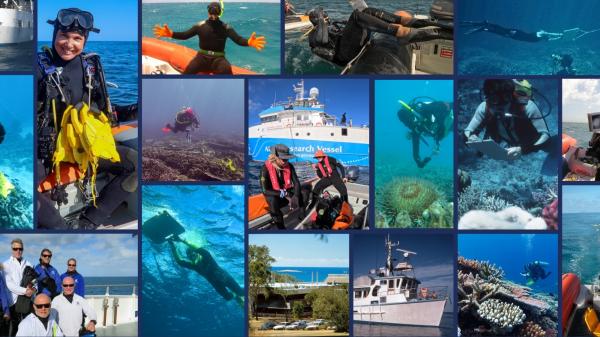Collage of AIMS Long-Term Monitoring Program over the years, with scientists underwater and on boats doing coral reef surveys.