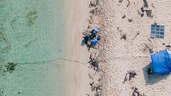 Aerial overhead of scientist research site on tropical beach with water sensors in the ocean
