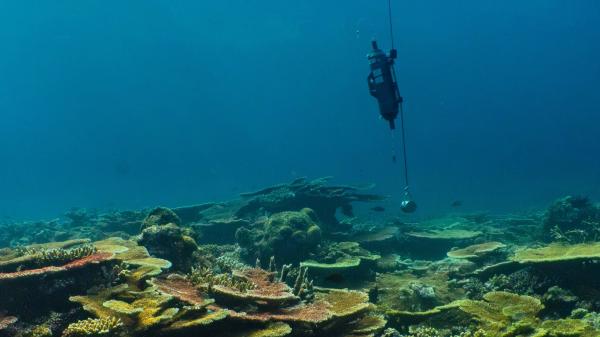 Niskin bottle over coral reef