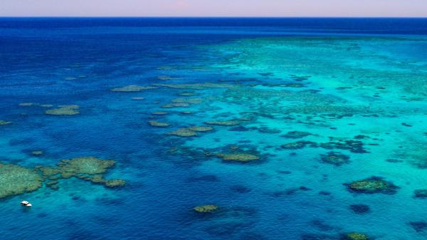 Aerial photo of the Great Barrier Reef showing coral reef formations and shallow turquoise lagoons surrounded by deep blue ocean. A small boat is visible beside one of the reef platforms, highlighting the scale of the reef landscape.
