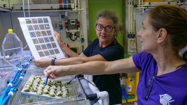Researchers in SeaSim