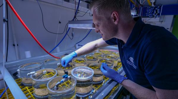 Assessing Ecological Risks from Naturally Occurring Radioactive Materials (NORM)