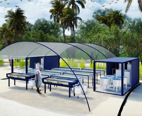 concept image showing a small aquaria system set up on a beach