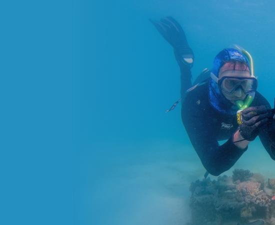 a person on scuba gear is underwater, fixing a piece of equipment to a short pole which is covered in marine life