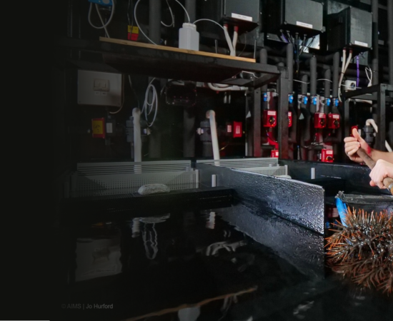Richard Harris, with crown-of-starfish and flume system in the National Sea Simulator