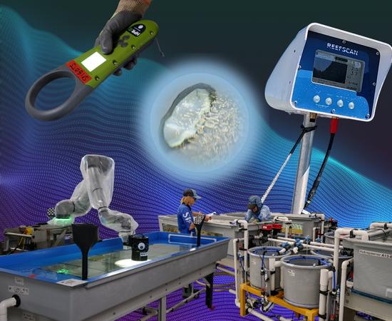 Composite image of coral aquaculture technology