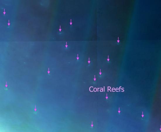 Newly revealed coral reefs