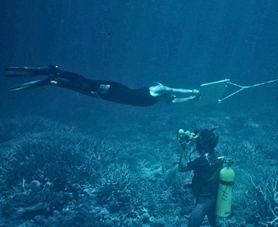 SCUBA diver filming manta tow