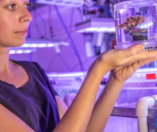 scientists holding small glass container with coral