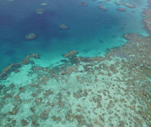 aerial of reef