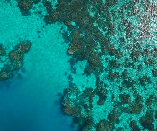 aerial photo of reef